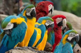 Nowe Zoo Poznań