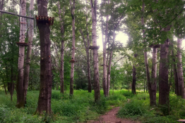 Stary Sącz Atrakcja park linowy Lemur Park