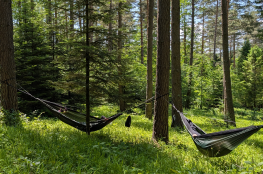 Krynica-Zdrój Atrakcja SPA & Wellness Leśny Błogostan -warsztaty relaksacji w naturze